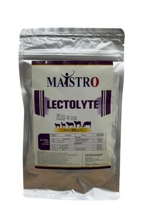 LECTOLYTE 100 GR Elektrolit Dengesi, Sağlam Performans